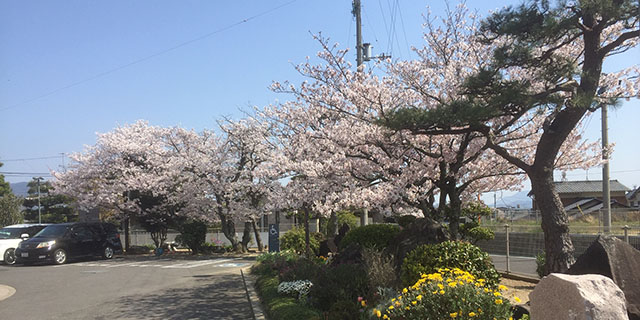 観音寺市立柞田小学校 | 本気全開！柞田っ子